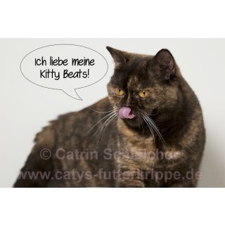 Kitty Beat